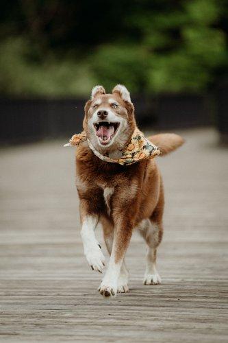 mobile - carousel-hero-element image-1